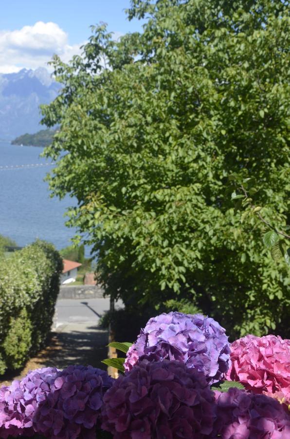 Anma Cottages The Secret Garden Pianello Del Lario 外观 照片