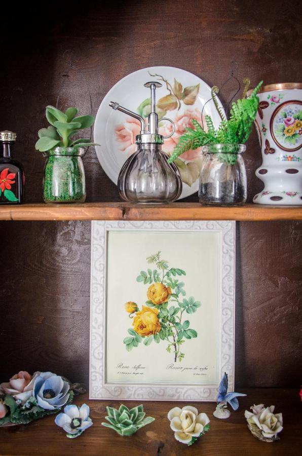 Anma Cottages The Secret Garden Pianello Del Lario 外观 照片