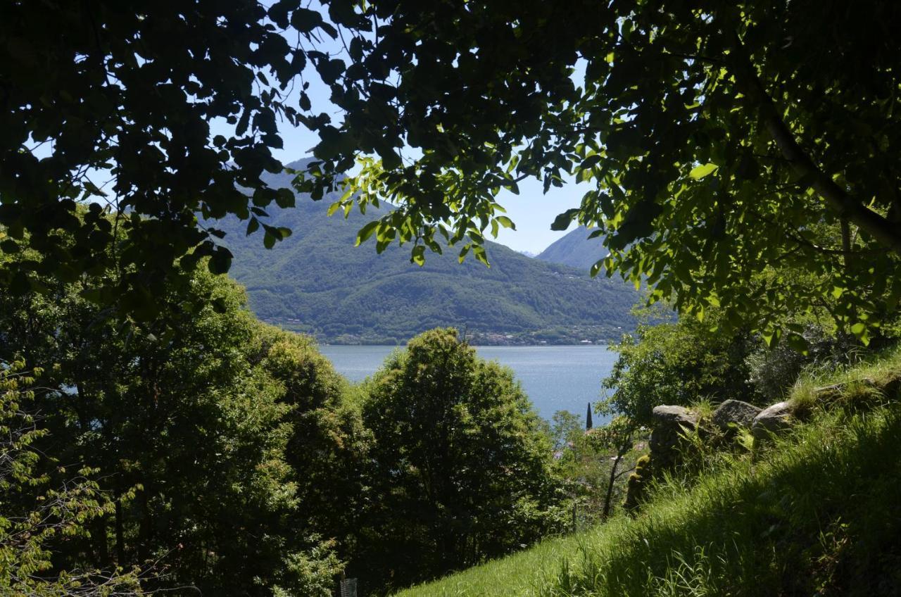 Anma Cottages The Secret Garden Pianello Del Lario 外观 照片