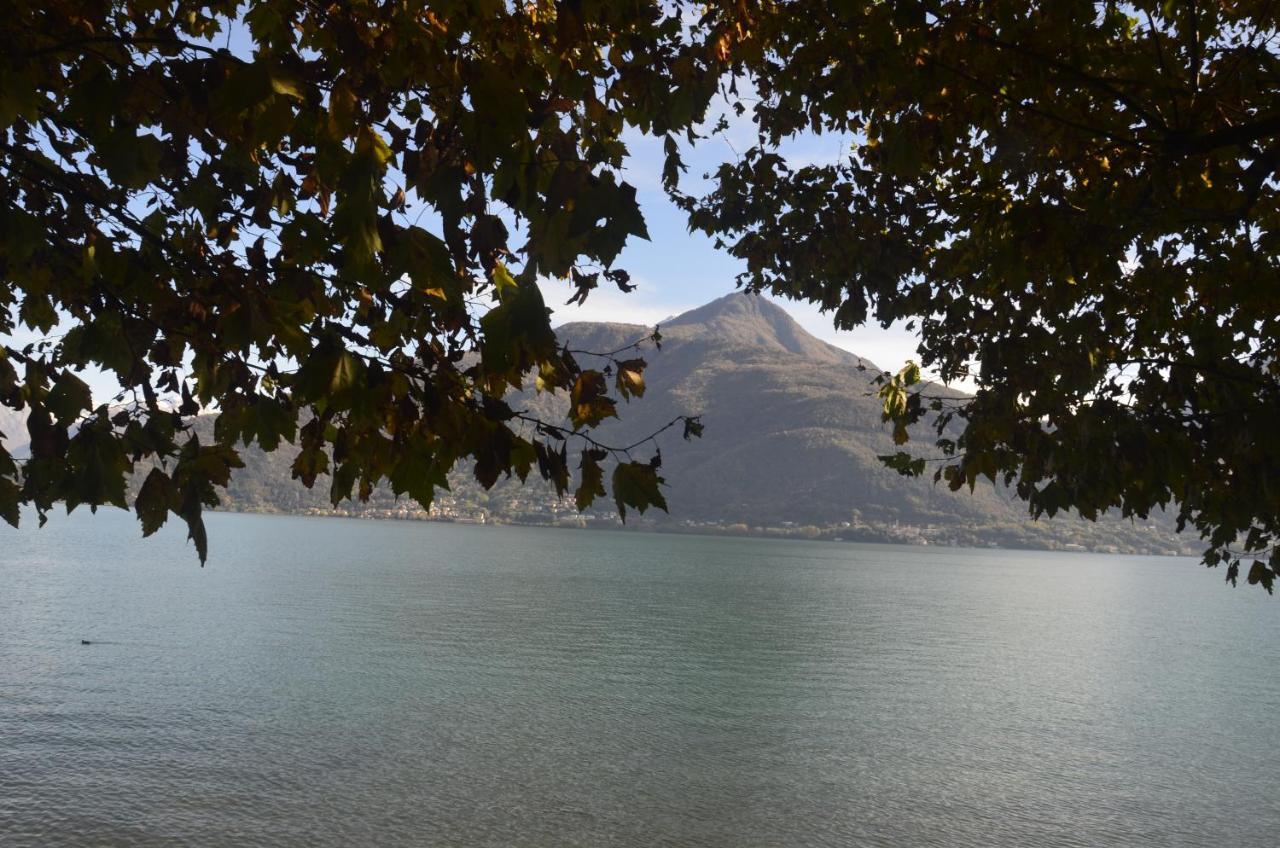 Anma Cottages The Secret Garden Pianello Del Lario 外观 照片